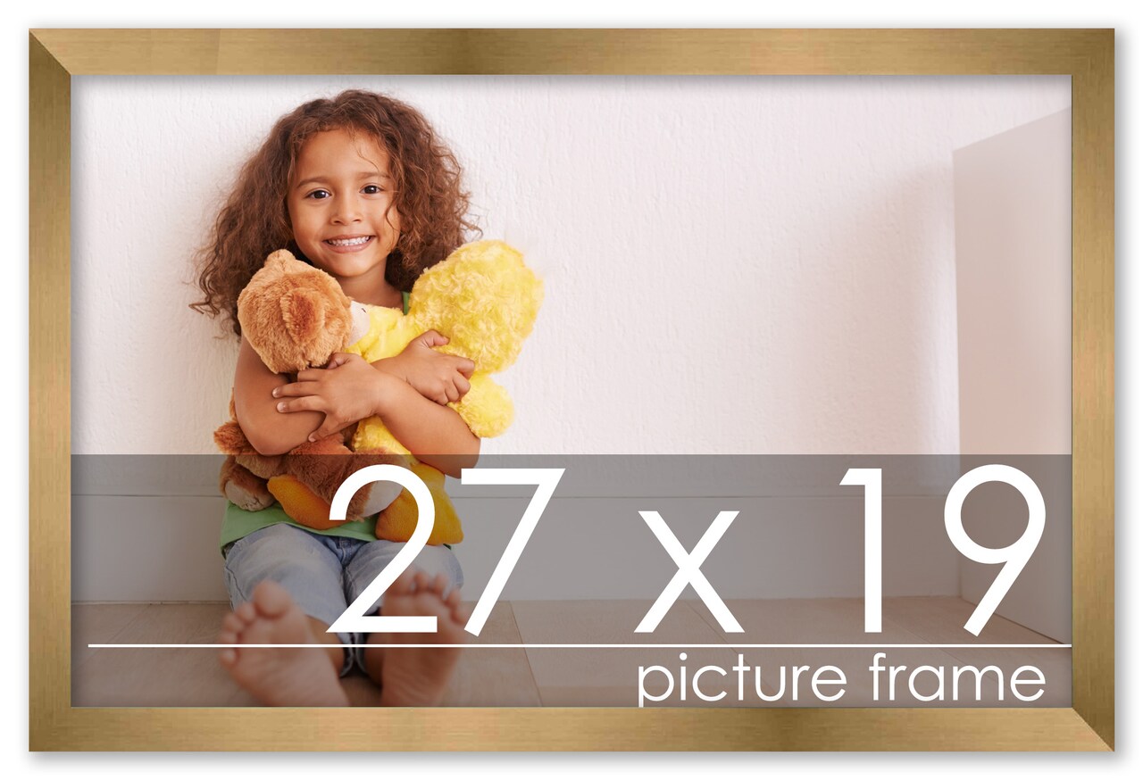 27x19 Solid Wood Picture Frame with UV-Resistant Acrylic & Acid-Free Backing, Available in 6 Finishes: Matte Black, Matte White, Metallic Bronze, Silver, Natural Wood Grain & Mahogany